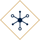 network icon